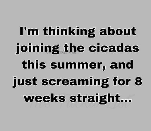 I'm thinking about joining the cicadas this summer, and just screaming for 8 weeks straight...
