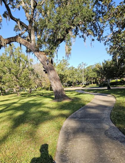 View along a paved pedestrian sidewalk through a city park.