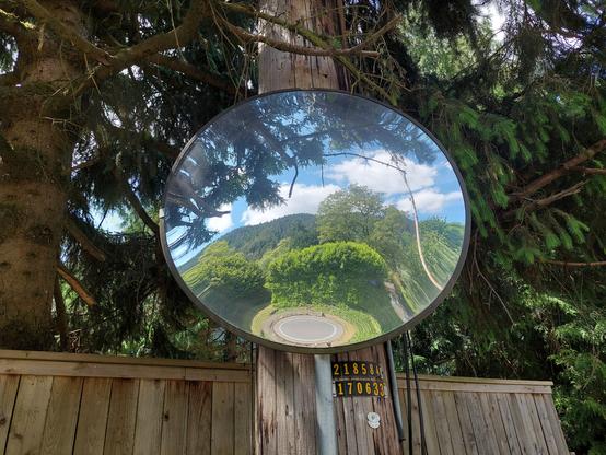 a large circular mirror on a streetside telephone pole, whose purpose I'm not certain, but slightly bends/warps/distorts the reflection along its outer rim, like a funhouse mirror; it is surrounded by dark & shady trees, but offers a "window" into the more sunny forest scene behind it, including blue cloudy sky, and a "circular street" blob at bottom