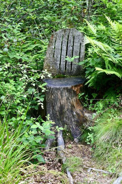 A tree stump carved into a chair.