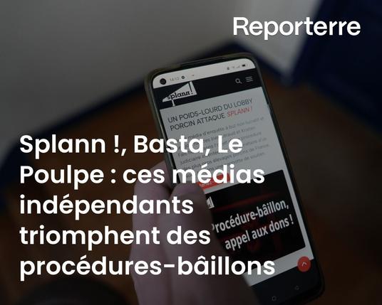 "Splann !", "Basta", "Le Poulpe" : ces médias indépendants triomphent des procédures-bâillons