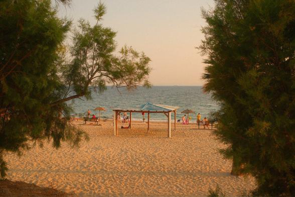 A beach at golden hour. Two trees are covering the left and right parts of the frame. In the middle is the beach with a wooden sun cover thing with a blue colored roof, and behind that the sea. The sky is kinda yellow due to the time of day. There are a few people on the beach as well but it’s generally chill.