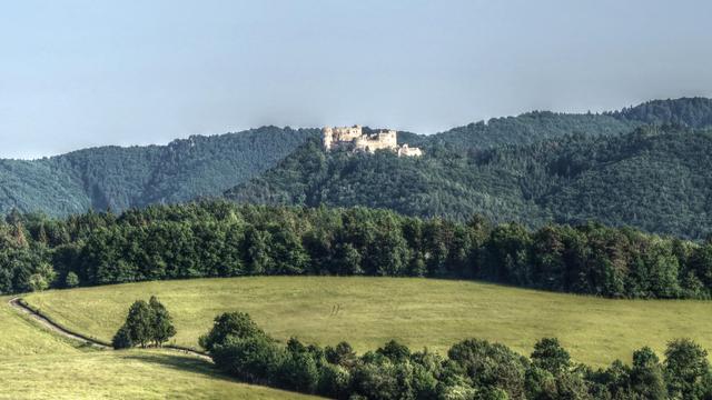Photo of a medieval castle ruin on a small hill overgrown by trees. In the foreground is a grassy pasture with a road going through it. In the background is a higher forest-covered ridge.