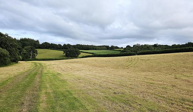 A patchwork of newly-cut hayfields and trees, under a cloudy sky.