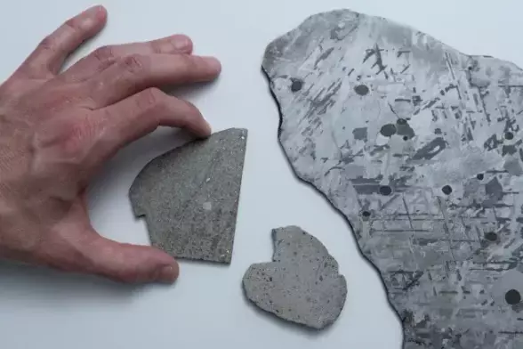 Ein Handrücken gibt die Skala des Bildes vor und füllt die Bildhöhe zu zwei Dritteln. Das Bild ist im Querformat, und rechts von der Hand liegen drei flache Schnitte aus Meteoriten, die alle metallisch glänzen. Das mittelgroße Stück reicht von Daumen bis Zeigefinger der Hand. Das größte Stück liegt ganz rechts und ragt noch bis über den Bildrand hinaus.