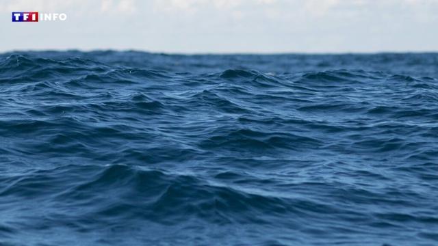 Sommet sur les océans à Nice : ce que dit le nouveau baromètre Starfish, dévoilé pour l'occasion