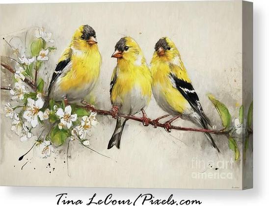 This is a canvas watercolor style panting of three pretty goldfinch birds perched on branch with tiny white blossom flowers against a soft beige background.