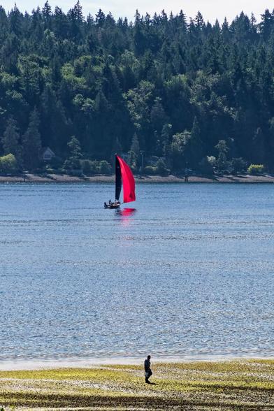 A sailboat with a red foresail and black mainsail with a man walking on the shore in the foreground
