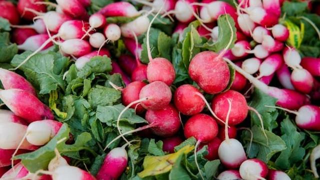 The Magical Combo of Radish, Butter and Salt