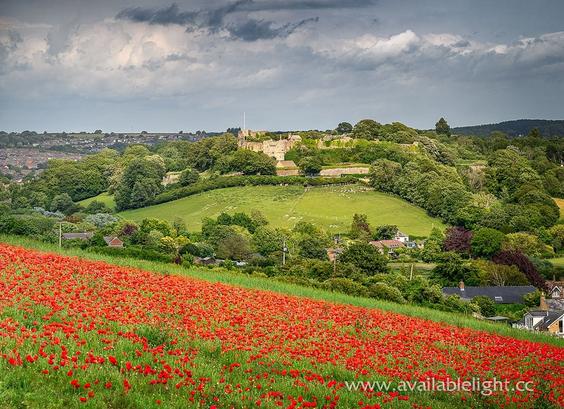 Bright red poppies blooming on a hillside field. Ahead, standing on a grassy hill sits a castle. A few houses are dotted around this rural scene. The sky is becoming overcast but the sun is still shining on the landscape for now.