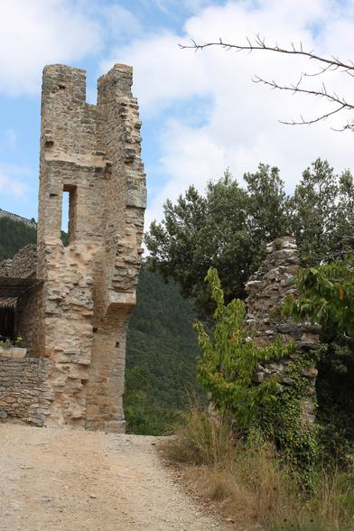 A bit of a tower, missing most of the walls and a forest in the back.