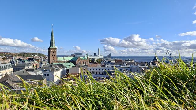 In the gardens on top of Salling department store café, mid-city Aarhus, Denmark. We are 30 metres above the city looking east to the harbour and coast and open sea. Tall grasses in the roof garden frame the bottom of the image, bending strongly in wind. They glow green in bright sunlight. Beyond, the city, deep blue sea and deep blue sky, mostly clear but with low lines of fluffy white clouds low on the horizon. Between us and the sea, the city skyline, dominated by the 93-metre-high spire of the redbrick cathedral with copper-green roofs. Jutting up in different places, other landmark buildings, modern and historic. To the right, another local landmark: the blue 75-metre-tall industrial crane at the docks, angular like an iron giraffe. The feeling of the scene: fresh, open, like everything negative that happened last week has been blown away by the sea breeze and we can start anew.