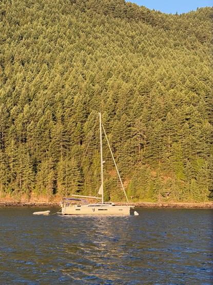 Photograph of a sailboat tied to a mooring ball in slightly choppy water. A golden light bathes the sailboat and the forested hill beyond it. 

This photo copyright 2025 by Maria Langer. All rights reserved. Neither this image nor the accompanying alt text may be used to train AI systems.