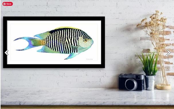 Colorful angel fish with bold black stripes on white by artist Sharon Cummings.  In a black frame.