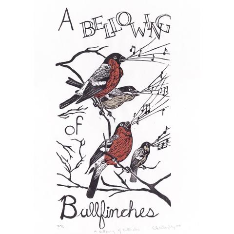 These linoleum block printed bullfinches are printed in black ink on Japanese kozo, or mulberry paper with chine collé breasts in pinkish-orange and dun for the males and females respectively. Each print is 14" by 9.25" or 35.6 cm by 23.5 cm in dimension.  The typography is designed to match the words. The letters of 'Bellowing' ("to make the loud deep hollow sound characteristic of a bull") are hollow and capitalized. The serifs on the 'B'of bullfinch are evocative of tail feathers. The letters are cursive and organic to suit the birds. The birds have musical staves with notes emanating from their mouths.