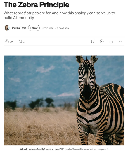 Screenshot of a story by Marina Tosic with title “The Zebra Principle” and a photo of a zebra