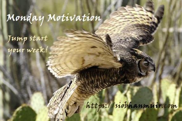 Monday Motivation: Jump start your week!
https://patreon.com/c/SiobhanMuir