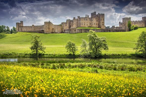 Majestic Alnwick Castle, overlooking the River Aln and surrounding buttercup meadows in the glorious Northumbrian countryside of North East England as the season of spring enters its final days.