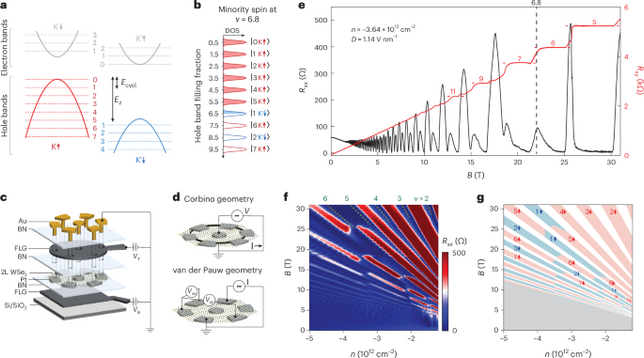 Spin-selective magneto-conductivity in WSe2 | Nature Physics
