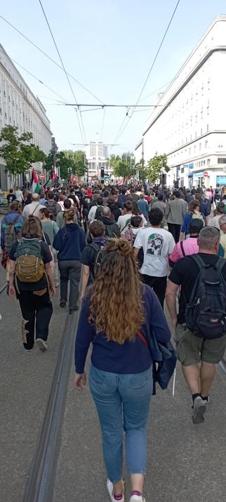 La foule défile rue de Siam.
Des t-shirts Palestine et des drapeaux Palestiniens.
Photo prise de l'intérieur du cortège. Toutes les personnes sont vues de dos.