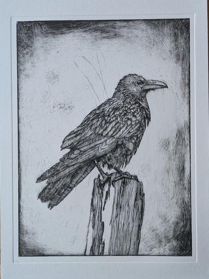 An black and white intaglio print of a raven on a wooden post.
