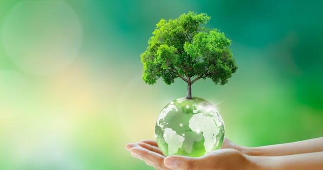 How renewable energy can help reshape Northern Ireland – The Irish News