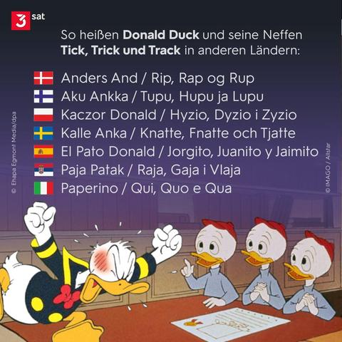Bildbeschreibung: Zu sehen ist ein tobender Donald Duck und seine drei Neffen, die ihm etwas erklären. Darüber erklärt der Text, dass Donald Duck und seine Neffen Tick, Trick und Track in anderen Länder völlig anders heißen: Eine kleine Auswahl wird aufgeführt:
Dänemark: Anders And / Rip, Rap og Rup
Finnland: Aku Ankka / Tupu, Hupu ja Lupu
Italien: Paperino / Qui, Quo & Qua
Schweden: Kalle Anka / Knatte, Fnatte och Tjatte
Spanien: El Pato Donald / Jorgito, Juanito y Jaimito
Polen: Kaczor Donald / Hyzio, Dyzio i Zyzio