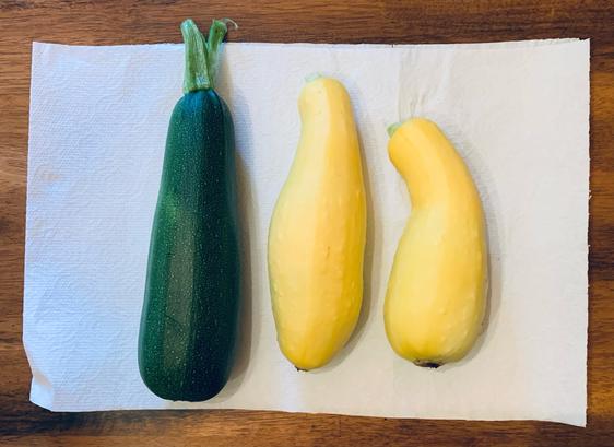 One zucchini and two yellow summer squash fresh from the garden.