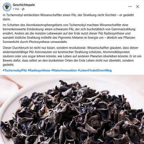 Geschichtepate #Fb

'In Tschernobyl entdeckten Wissenschaftler einen Pilz, der Strahlung nicht fürchtet – er gedeiht darin.
Im Schatten des Atomkatastrophengebiets von Tschernobyl machten Wissenschaftler eine bemerkenswerte Entdeckung: einen schwarzen Pilz, der sich buchstäblich von Gammastrahlung ernährt. Anders als die meisten Lebewesen auf der Erde nutzt dieser Pilz Radiosynthese und wandelt tödliche Strahlung mithilfe des Pigments Melanin in Energie um – ähnlich wie Pflanzen Sonnenlicht durch Photosynthese umwandeln.
Dieser Durchbruch ist nicht nur bizarr, sondern revolutionär. Wissenschaftler glauben, dass dieser widerstandsfähige Pilz Astronauten vor kosmischer Strahlung schützen, Atommülldeponien säubern oder uns sogar lehren könnte, wie Leben auf anderen Planeten überleben könnte. Er ist ein Beweis dafür, dass selbst an den dunkelsten Orten der Erde Leben nicht nur überlebt, sondern gedeiht.…
#TschernobylPilz #Radiosynthese #NaturInnovation #LebenFindetEinenWeg