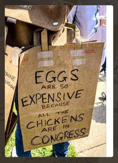 Photo of demonstration with person holding paper shopping bag with written words -
“ EGGS
ARE 50
EXPENSIVE
BECAUSE
ALL THE
CHICKENS ARE IN
CONGRESS”