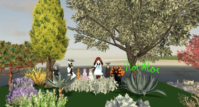 Screenshot of Overte Warmup event, with community members standing among hand-painted 3d models of Mediterranean vegetation.