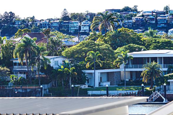 A suburban landscape of houses rising up a steep hillside on the opposite bank of the Brisbane river, glimpsed at bottom right. There is a miscellany of palms, poincianas, jacarandas, conifers, eucalypts and other trees, and large numbers of little boxes, probably not made out of ticky-tacky given the location. No prototypical "Queenslander" houses remain in this shot.