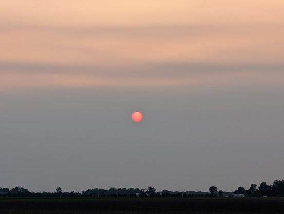 Sunset over the corn field. A dark orange sun is working its way down through a very hazy sky. There's a little bit of pale pink above, but the rest of the sky is bluish gray. Dark trees on the horizon
