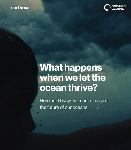What happens when we let the ocean thrive? Here are 6 ways we can reimagine the future of our oceans; by Commons Earth; white letters on a background picture that shows a night sky over a cliff by the ocean