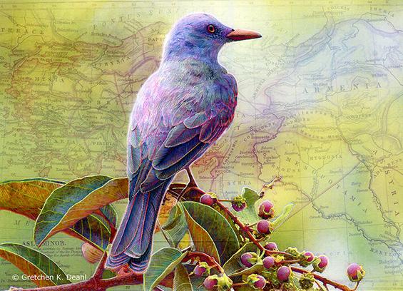Set against a backdrop of an ancient map, colored in pale greens and golds, a purple-blue bird perches on a branch bursting with juicy red berries.