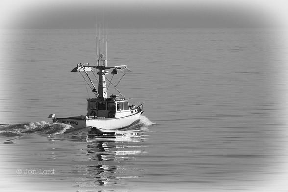 This Is A Black And White Seascape Photo In Landscape Format. The Lower Ninety Per Cent Of The Image Is Filled With An Expanse Of Still Ocean. The Water Is Nearly Dead Calm With Just The Occasional Small Ripple Disturbing The Surface. To The Left Of Centre Is A Oblique View Of A Small (Seven To Ten Metre Long) White Commercial Fishing Boat, Under Way Diagonally Across The Frame From Left To Right. The Stern And Starboard Side Are In View. The Boat Has The Aft Half Open With A Wheel House And Small Cabin Forward. Above Is A Stout Metal Pillar Supporting Two Large Banks Of Flood Lights, One Either Side. Above Is A Collection Of White Antennae. The Boat's Reflection Is Caught By The Water On The Right Side. The Name: 'Little Viking' Is In Large Black Letters On The Stern. There Is A Clear And Crisp Horizon Where The Water Meets A Clear And Cloudless Sky. 
The Location: The San Pedro Channel In Southern California (2012).