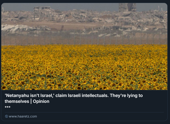 Distruzione a Gaza, vista dal campo di girasoli di un kibbutz vicino al confine tra Israele e Gaza il mese scorso.
Crediti: Menahem Kahana/AFP

L'immagine mostra un campo di girasoli in primo piano, con una recinzione e un paesaggio desolato e pieno di macerie sullo sfondo. Il testo nell'immagine recita: "'Netanyahu non è Israele', affermano gli intellettuali israeliani. Stanno mentendo a se stessi | Opinione *** www.haaretz.com".
