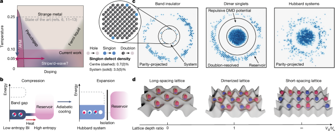 A neutral-atom Hubbard quantum simulator in the cryogenic regime