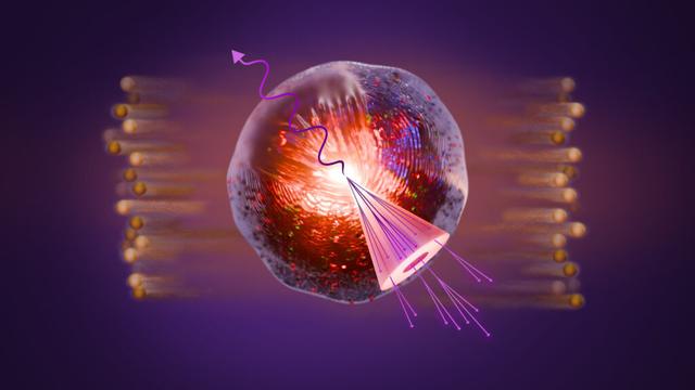 Here's what happens when quark-gluon plasma 'splashes' during the most energetic particle collisions