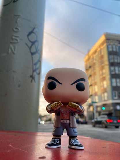 Cal at Inner Sunset