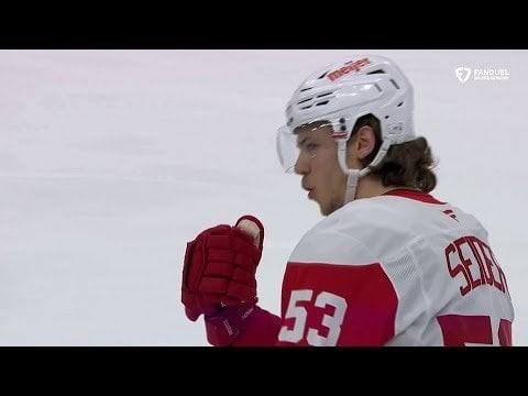 Moritz Seider 2024-25 Highlights - awood40