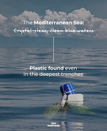 The Mediterranean Sea - plastic found even in the deepest trenches