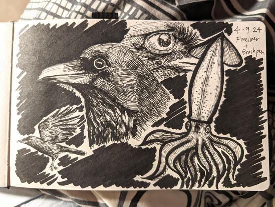 Sketchbook page in black ink of some crows/ravens and a giant squid. The top right has the date 4/9/24 and the text "Fine liner + Brush pen." There are three sketches of crows/ravens on the left side. The top is of an eye, the middle is of a head, and the bottom is of one in flight. To the right is a giant squid drawing. The background is filled in partially with black ink.