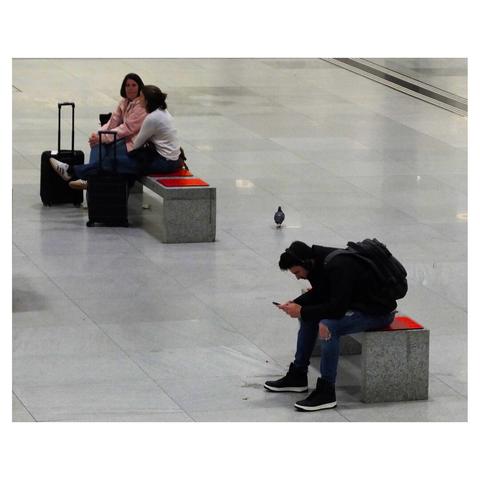 three individuals situated in a waiting area at zurich main station. Two people are seated on a bench with luggage beside them, engaged in conversation or waiting, while a third person sits on a separate bench, engrossed in their smartphone. A pigeon is seen walking on the floor nearby, adding a touch of everyday life to the scene.