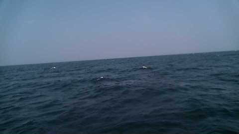 This is an image captured by a buoy floating at sea.