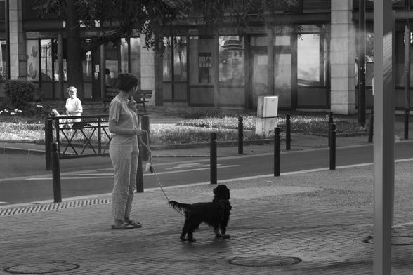 Photo en noir et blanc. Au premier plan, une dame tenant son chien en laisse sous un brumisateur de ville. À l’arrière plan à gauche, dans la lumière, une autre dame, assise avec son chien, souri en voyant le 1er chien se rafraîchir