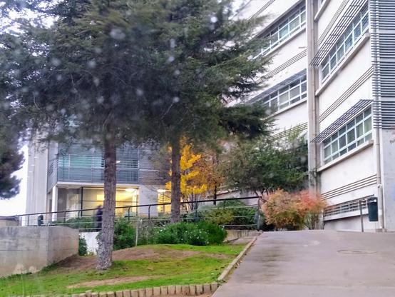 Vista parcial de la Facultad de una Casa Universitaria en Chile.

Parte de jardines en otoño, el frontis del edificio de oficinas. En medio, un árbol con sus hojas de amarillo brillante ya en otoño.