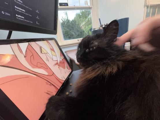 A black cat rests on a desk next to a computer monitor displaying an animated character. A hand is gently petting the cat, creating a cozy scene. The background shows a window with natural light.