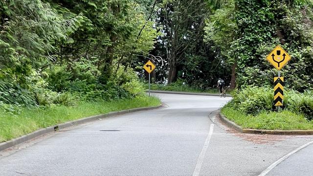 A cyclist on a curving two-lane asphalt road with yellow traffic signs and lots of vegetation