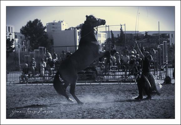 A grayscale image of a horse performing a trick, likely rearing up, in a large outdoor arena. 
The horse is centered in the image, its legs and body lifted in the air. A person, positioned in the foreground, appears to be guiding the horse with a long, thin object (likely a whip or rein). This person is dressed in dark clothing and a skirt that creates a visible silhouette. 
A large group of spectators is seated beyond the horse and performer, behind a metal barrier. The spectators are visible as silhouettes. 
The surrounding area depicts buildings behind the arena, with trees and a cityscape visible in the mid-ground. The ground is a light gray/tan color, suggesting it is an outdoor, sandy surface. Dust or a light cloud is visible around the horse's feet from the effort of the rearing.